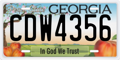 GA license plate CDW4356