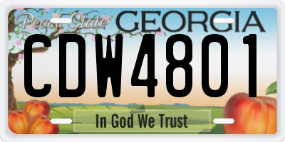 GA license plate CDW4801