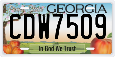 GA license plate CDW7509