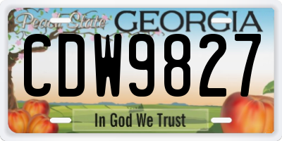 GA license plate CDW9827