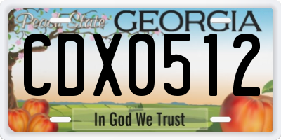 GA license plate CDX0512