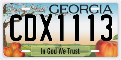 GA license plate CDX1113