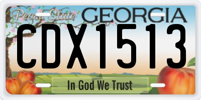 GA license plate CDX1513