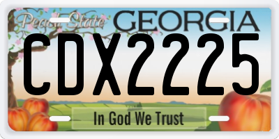 GA license plate CDX2225