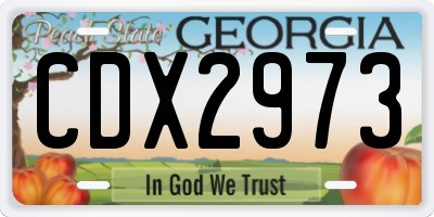 GA license plate CDX2973