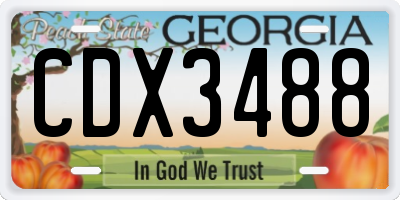 GA license plate CDX3488