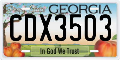 GA license plate CDX3503