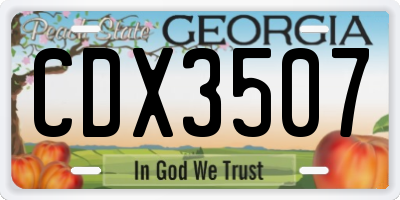 GA license plate CDX3507
