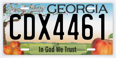 GA license plate CDX4461
