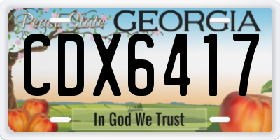 GA license plate CDX6417