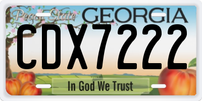 GA license plate CDX7222