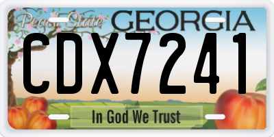 GA license plate CDX7241