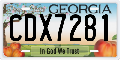 GA license plate CDX7281