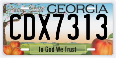 GA license plate CDX7313