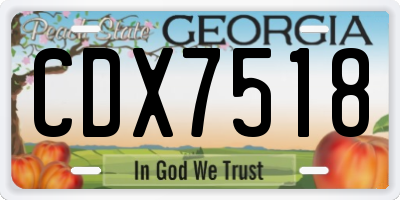GA license plate CDX7518