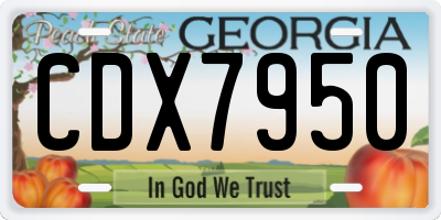 GA license plate CDX7950