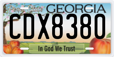 GA license plate CDX8380