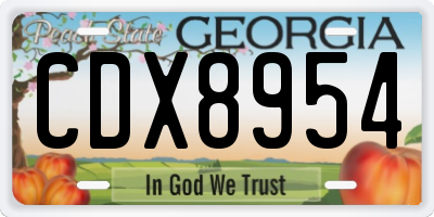 GA license plate CDX8954
