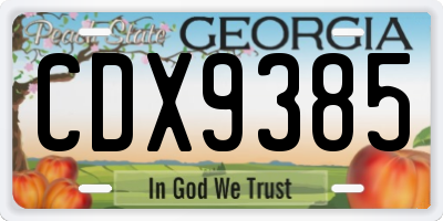 GA license plate CDX9385