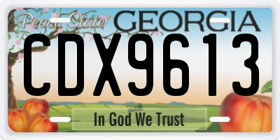 GA license plate CDX9613