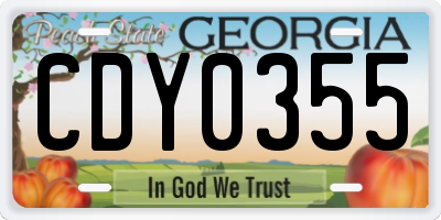 GA license plate CDY0355