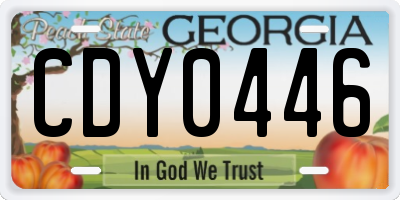 GA license plate CDY0446