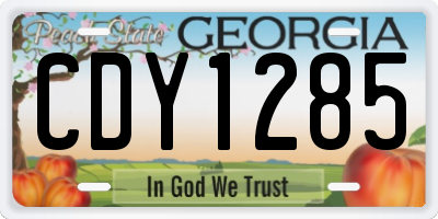 GA license plate CDY1285