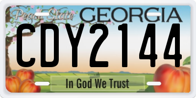 GA license plate CDY2144