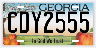 GA license plate CDY2555