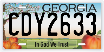 GA license plate CDY2633
