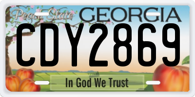 GA license plate CDY2869