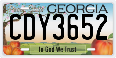 GA license plate CDY3652