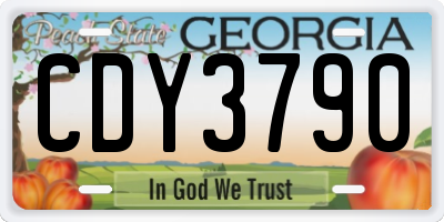 GA license plate CDY3790