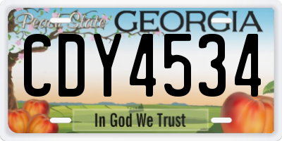 GA license plate CDY4534