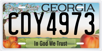 GA license plate CDY4973