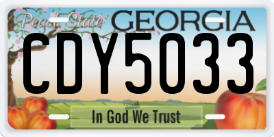 GA license plate CDY5033