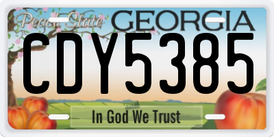 GA license plate CDY5385