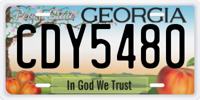 GA license plate CDY5480