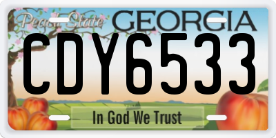 GA license plate CDY6533