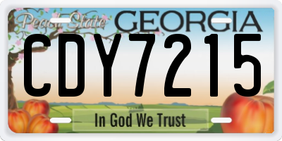 GA license plate CDY7215