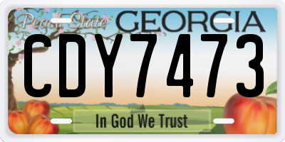 GA license plate CDY7473