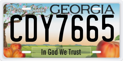 GA license plate CDY7665