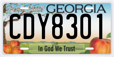 GA license plate CDY8301