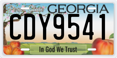 GA license plate CDY9541