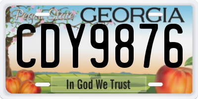 GA license plate CDY9876