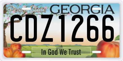 GA license plate CDZ1266