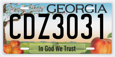 GA license plate CDZ3031