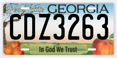 GA license plate CDZ3263