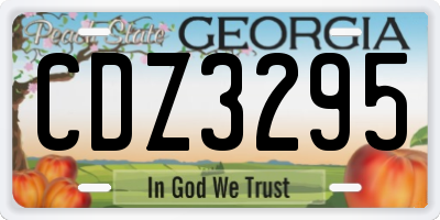 GA license plate CDZ3295