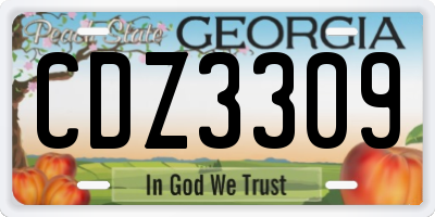GA license plate CDZ3309